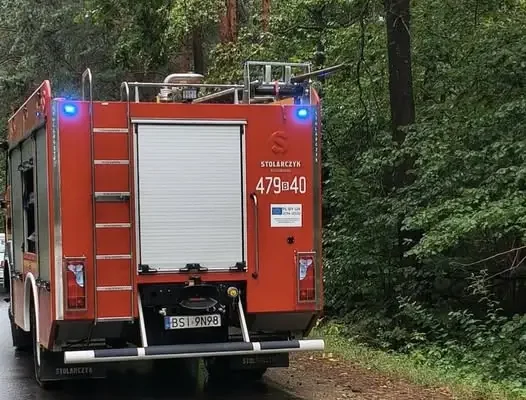 Powalone drzewa na drogach w okolicach Milejczyc – interwencja OSP