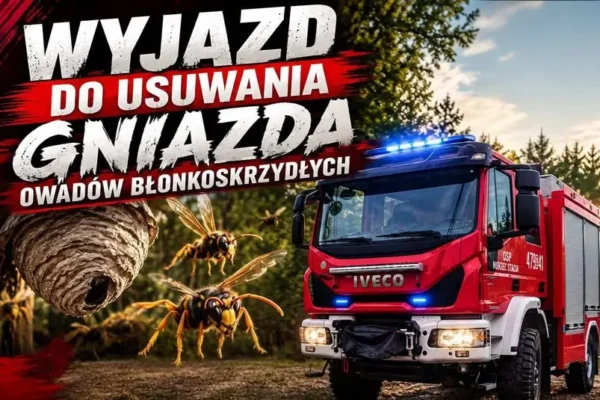 Usuwanie gniazda owadów w Rogaczach – interwencja strażaków