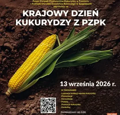 Krajowy Dzień Kukurydzy w Szepietowie – 13 września 2026