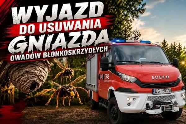 Wyjazd alarmowy OSP KSRG Nurzec-Stacja. Usuwali gniazdo owadów w Augustynce