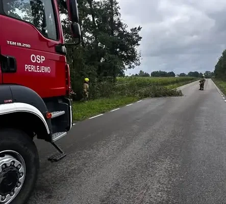 Niebezpiecznie pochylone drzewo nad drogą. Interwencja OSP KSRG Perlejewo